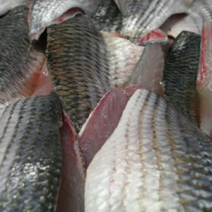 Diklip Harder met huid losse filet