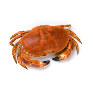Krab