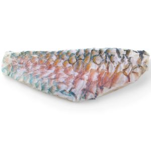 Papegaaivis met huid losse filet