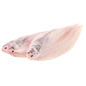 Sliptong zonder huid los