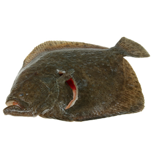 Tarbot