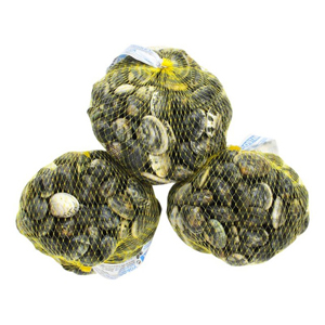 Vongole