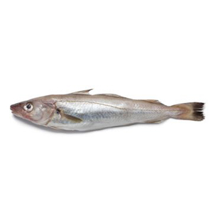 Wijting